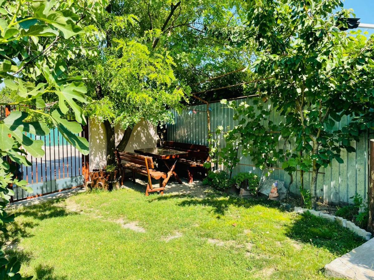 Casa Chitu Pensionat Murighiol Eksteriør billede